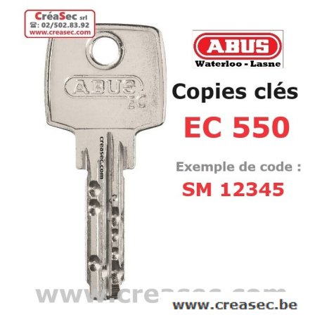 Reproduction clef ABUS D6